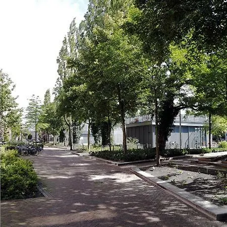 Ecofriendly Close To Center Kwatera prywatna Amsterdam
