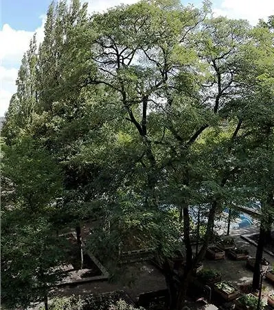 Homestay Ecofriendly Close To Center *